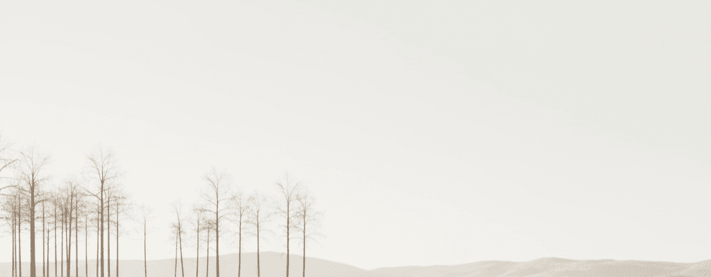 Minimal retreat landscape in soft neutral tones